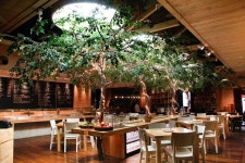 Social House Jakarta | 인테리어