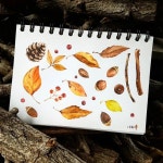 #감성수채화 #감성그림 #수채화 #일러스트수채화 #수채일러스트 #감성일러스트 #일러스트 #그림 #손그림 #그림그리기 #그림수업 #수원그림... 