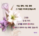 Pin on #평화의어머니#한학자총재자서전