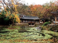 수채화에 있는 박호견님의 핀 - 2021 | 가을, 수채화