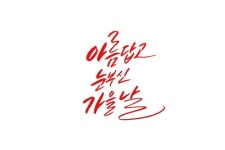 눈부신 가을날 - 2020 | 감성