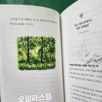 부산 오일파스텔 en 2024