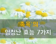 족욕의 엄청난 효능 7가지 - 2023 | 대체의학, 다이어트, 피부 ﻿족욕의 엄청난 효능 7가지 - 2023 | 대체의학, 다이어트, 피부