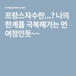 프랑스자수란...? 나의 한계를 극복해가는 먼 여정인듯~~ | 자수