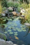Stunning Garden Pond Waterfall Design Ideas 08 | 정원 가꾸기, 연못, 정원 연못