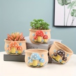 Cute Oval Succulents Pot With Holes, Fall Halloween Room Decor, Winter Xmas Home Decor | 다육 식물, 화분 디자인, 꽃병 장식