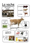 Épinglé par 아가월드 삼성교육센타 sur 문화-동물퍼즐/식물퍼즐 | Documentaire animaux, Animaux de la ferme, Activité... 