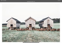 Farm에 있는 Pippa Perrin님의 핀