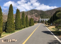 Jeollanamdo Forest Resources Research Institute (나주 산림자원연구소) in Naju, South Korea | Korea travel, Travel south... 