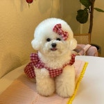 내이름은 허밍키 •ܫ•(@iam__mingki) • Instagram 사진 및 동영상 - 2023 | 사진, 카페