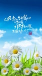 행복 캘리그라피