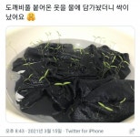 도깨비풀 묻은 옷 물에 불려놨더니
