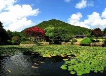 Ulrimsanbang in Jindo, Korea  진도 운림산방(이미지 포함)