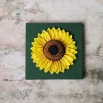 영상 지원으로 더욱 쉽고 재미있게 만들어보세요 🎨🌻 👉스토어 상품 둘러보기 @evacrafts__ #페이퍼플라워 #해바라기액자 #종이꽃만들기... 