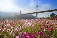 이정의빛그림 : 네이버 블로그 대한민국 경상북도 안동시 계평리 서안동대교 | 대한민국, 안동시