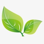 벡터 녹색 잎, 잎 클립 아트, 이파리, 손으로 그린 PNG 일러스트 및 PSD 이미지 무료 다운로드 - Pngtree