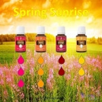 17 best Oils images on Pinterest | 미용 팁, 아로마테라피 및 Diy 아름다움 Oils