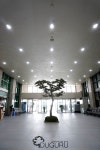 Artificial Pine trees 인조나무 , 인조소나무 , 실내조경 , artificial trees , indoor landscape , planterior - 2020 | 소나무