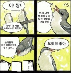 순애(하드 아해가오)
