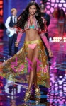 빅토리아 시크릿 패션 쇼 2014 (Victoria's Secret Fashion Show 2014)
