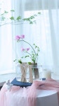 veryview.flowerschool on Instagram: 3차 화훼장식기능사반 수강료【79만원】 날짜 : 화수 (7/13개강~8/3) 시간 : 오전 10:00~17:00... 