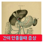 힐링, 8체질 생활건강 - 귀를 당기면 모든 ... : 카카오스토리 | 건강