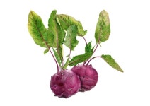 ‘색연필 그림정원’에서는 이렇게 평범한 채소도 특별한 그림이 됩니다. 함께 그리고, 함께 느껴보실래요?” #색연필세밀화 #보태니컬아트... 