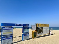 경포대 가볼만한 곳 추천 | 경포대 해수욕장 주차장 | 경포호수 둘레길 | Beach, Evacuation, Tsunami