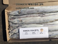 원산지 베네수엘라 갈치 500-700 상호 인오LTD 담당자 조성준 전화 02... 중국@인오무역@부산냉동수산물@수산물수입수출업체@갈치@낙지... 