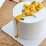 Pin page 2018/03/12 #이벤트정규반출강 이벤트정규반 두번째시간 케이크에도 봄이왔어요 기분좋은 노오란 망고드립케이크 동글동글... 