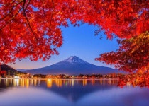 일본가을여행하면 단풍여행! 단풍시기,명소,옷차림 등 모든것 소개! 2019년편 - LIVE JAPAN ( 일본여행·추천명소·지역정보 )
