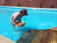 한국애견대학, 고양시, 경기도(이미지 포함) | 출장