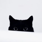 BLACK CAT에 관한 18개의 최상의 Pinterest 이미지 | 새끼 고양이, 검은 고양이 및 Cute kittens BLACK CAT