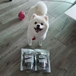 오마니가 시킨 김부각이 집에 왔어오  #꾸꾸 #꾸수타그램 #꾸스타그램 #개스타그램 #개심심 #개스타 #펫스타그램 #댕댕스타그램 #멍스타그램...... 