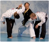 Pin von Tai Cooper-Small auf Hapkido (합기도) | Kampfsport, Kämpfen, Sport