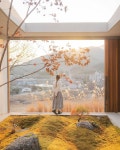 숙소 스테이보다🏡 서울 근교에 예쁜 숙소를 찾다가 발견한... 스테이보다의 꽃 같은 곳으로 초봄에도 이렇게 예쁜데, 봄여름가을에는 또... 