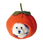 #고양이하우스 #고양이숨숨집 #고양이집 #숨숨집 #하우스 #야옹이집 #다르마독카르마캣 #고양이침대 #다르마독 #storebom... 