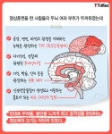 잠시라도 생각을 멈추고 호흡을 알아차려 보시라 - T Times | 명상, 건강 운동