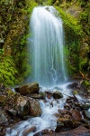 Natur ❤에 관한 4163개의 최상의 Pinterest 이미지 | 자연, Paisajes 및 동물 Natur ❤