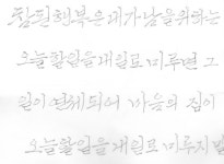 t115A w2 신혜정 05