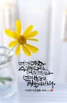 Pin page 수채화캘리에 있는 핀 | 손글씨, 자연 사진, 손글씨 문구