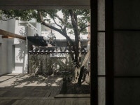 어리석음을 사색하는 집 - C3KOREA - 2023 | 집, 건축 디자인, 건축