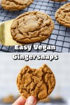 Vegan Ginger Snap Cookies | Recipe in 2022 | Vegan cookies recipes, Vegan baking recipes, Vegan christmas recipes