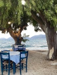 바닷가 나무 밑 테이블과 의자