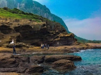 Jeju Island | 수채화