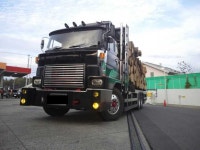 「트럭」おしゃれまとめの人気アイデア｜Pinterest｜fincher | 旧車, トラクタ, デコトラ