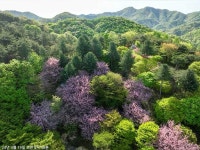 꽃이 만발한 아름다운 월명동