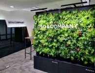 스마트 그린월 나아바 식물 인테리어 Smart Green Wall NAAVA Plant Interior 스마트 그린월 나아바 식물 인테리어 Smart... 