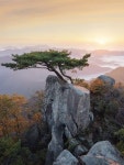 Pin by 김지영 on 산 그림 | Beautiful locations nature, Tree photography, Landscape pictures