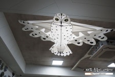 속초 박물관 여행 부엉이전시관 해피아울하우스 강추! 가족과 함께 방문